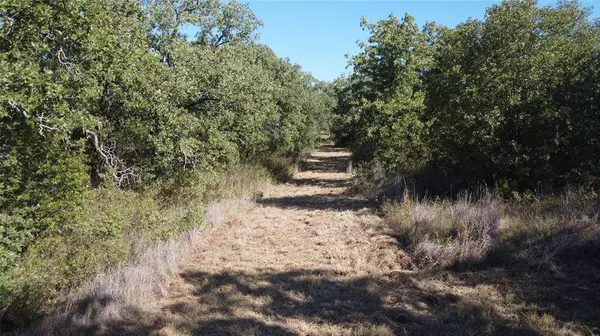 0000 Hwy 16 N, Graham, TX 76450