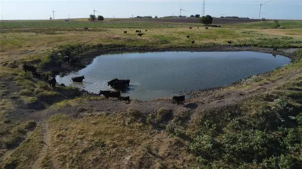 1630 Fm 1198, Muenster, TX 76252