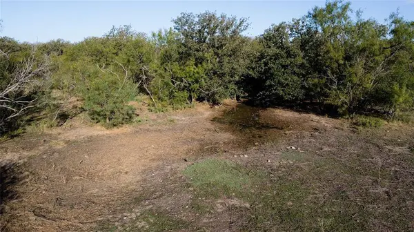 0000 Kramer Road, Graham, TX 76450