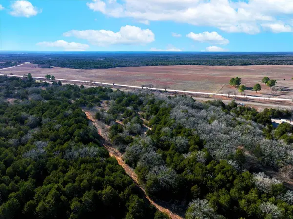 0000 FM 2336, Mcdade, TX 78650