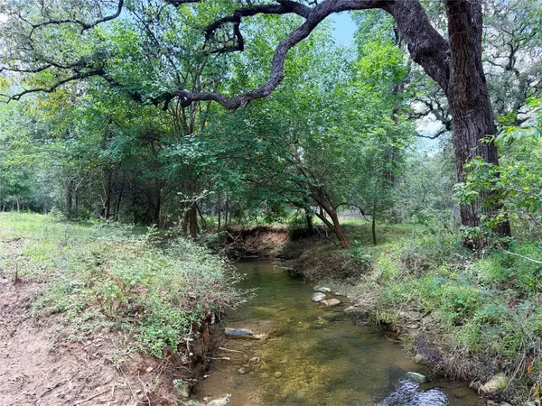 141 Grassyville RD, Paige, TX 78659