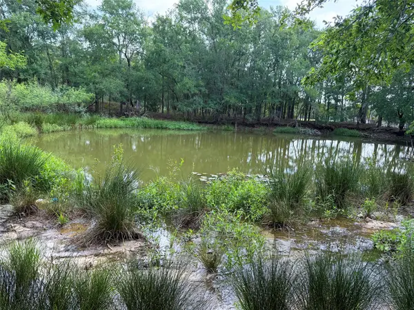 141 Grassyville RD, Paige, TX 78659