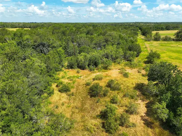 0000 FM 2239, Paige, TX 78659
