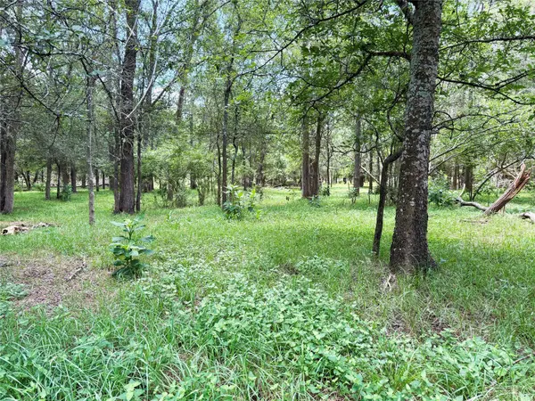 0000 FM 2239, Paige, TX 78659