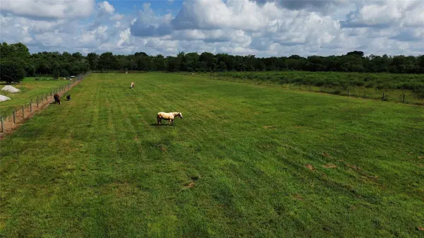 000 Hubenak RD, Needville, TX 77461