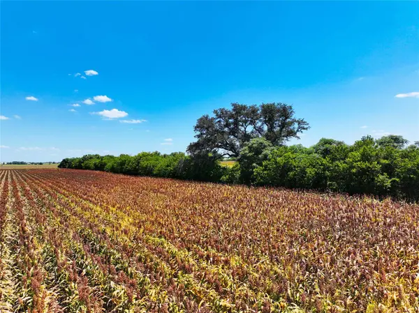 0000 FM 621, Martindale, TX 78655