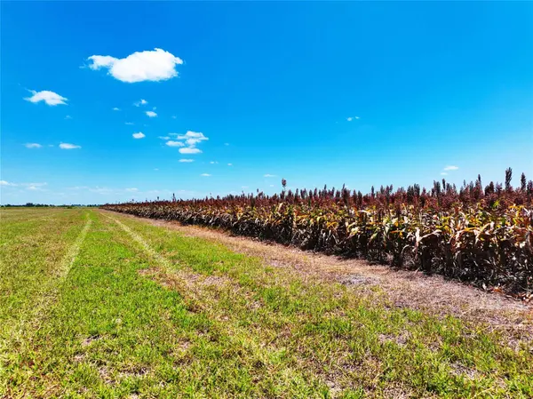 0000 FM 621, Martindale, TX 78655