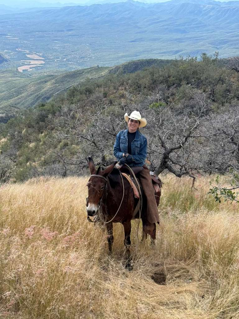 Mule and a ranch riding in roundups 2025