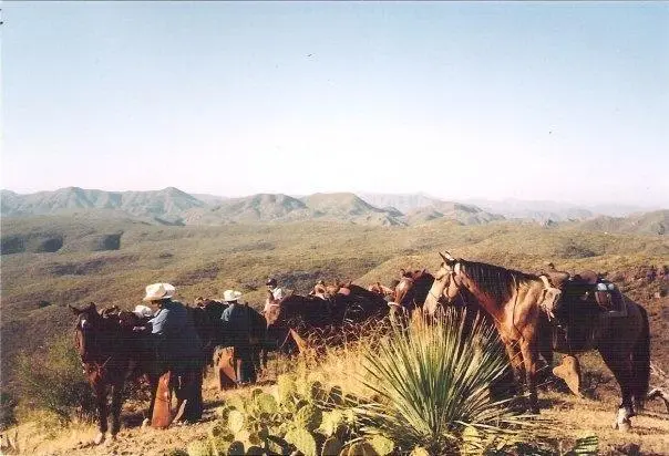 Horse Properties for Sale in Texas - Horse Ranches Texas 