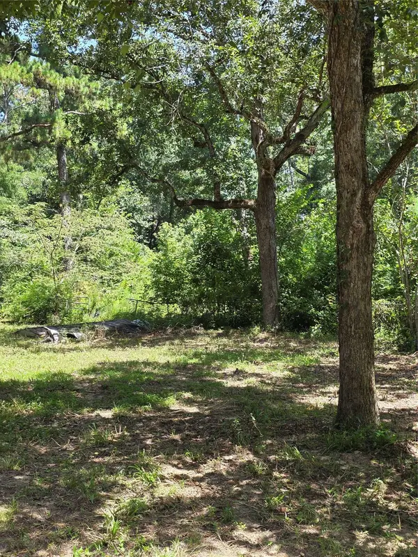 9739 Lakeview DR, Houston, TX 77365