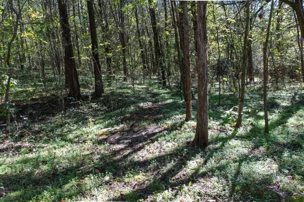 0 Winfree Ln, Brush Creek, TN 38547