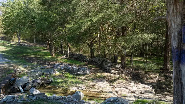 0 Winfree Ln, Brush Creek, TN 38547