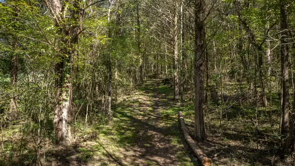 0 Winfree Ln, Brush Creek, TN 38547