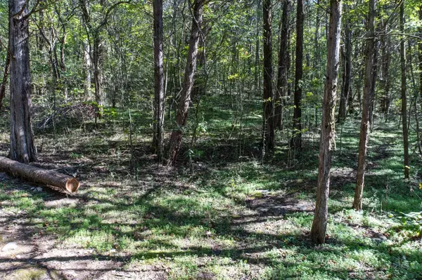 0 Winfree Ln, Brush Creek, TN 38547