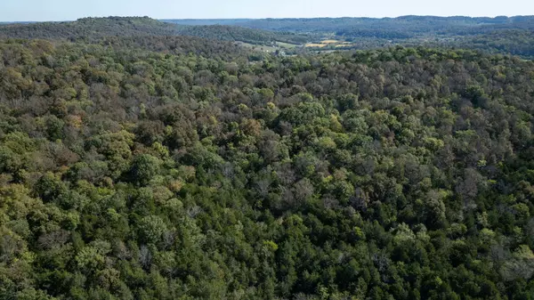 0 Winfree Ln, Brush Creek, TN 38547