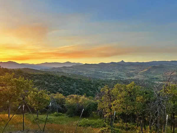 2307 Owens Way, Hornbrook, CA 96044