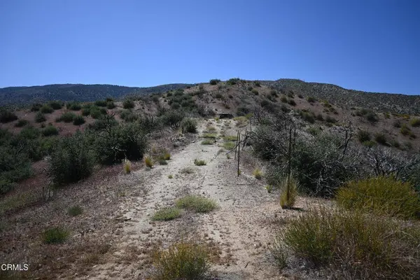 17610 Big Pines HWY, Valyermo, CA 93563