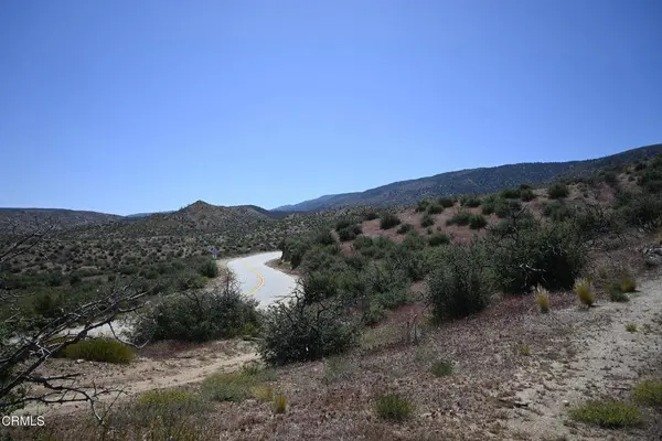VAC Big Pines, Llano, CA 93544