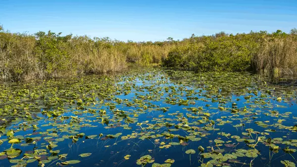 Top 5 Things to Do in Homestead on the Weekend