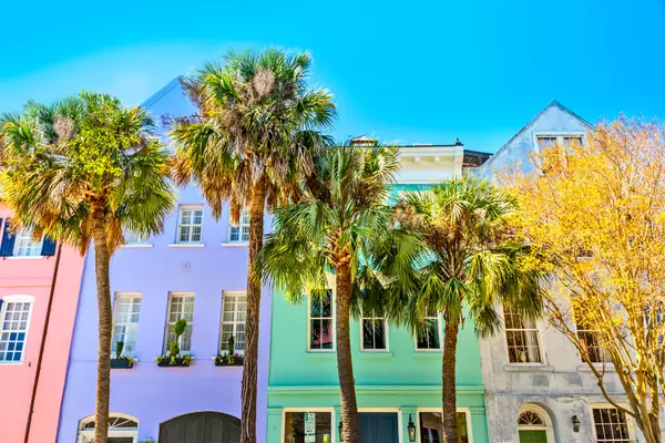 Charleston Historic Homes