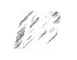 White Logo transparent bg