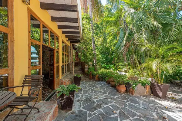 Why So Many People Are Moving to Todos Santos and Pescadero?