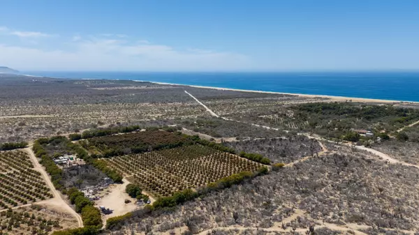What to Know Before Buying Land in Todos Santos