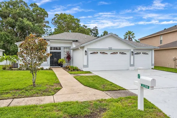 15709 MUIRFIELD DR, Odessa, FL 33556