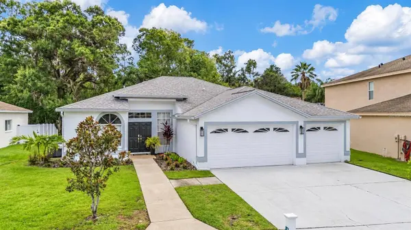 15709 MUIRFIELD DR, Odessa, FL 33556