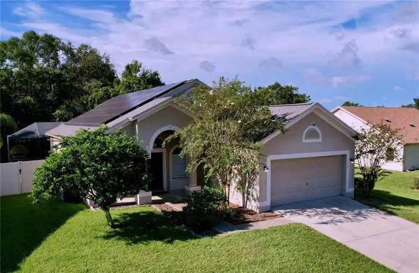 2003 LEICHESTER ST, Valrico, FL 33594