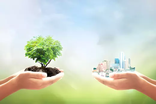 Hands holding a tree and a miniature city skyline, representing sustainable real estate growth and harmony between nature and urban living.