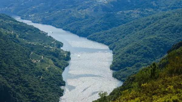 Why the NRV is a Great Place to Buy Your First Home