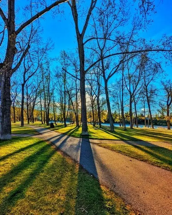 Living in Lakeview Calgary: What Buyers Should Know