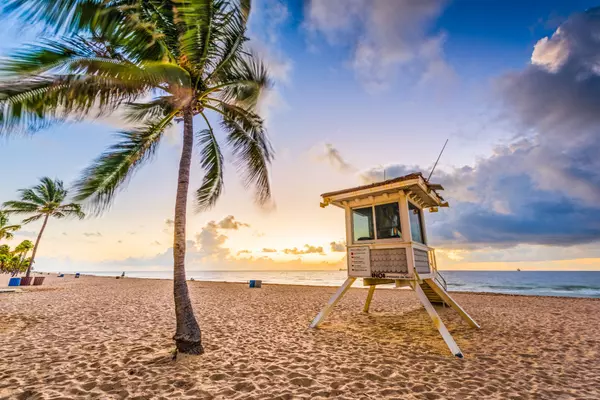 Detecting Termite Problems in Fort Lauderdale Homes,Scott English