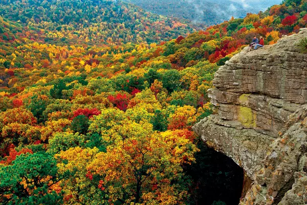 Fall Leaves in Full Color: Take a Scenic Drive Through the Ozarks and Find Your Dream Home,Tonya Moles