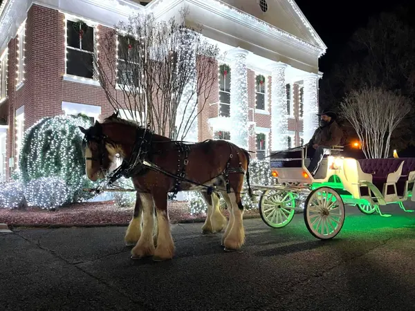 Magical Family Christmas Adventures Around Russellville & Dardanelle, Arkansas,Tonya Moles