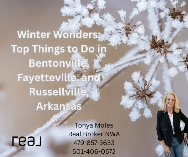 Winter Wonders: Top Things to Do in Bentonville, Fayetteville, and Russellville, Arkansas,Tonya Moles