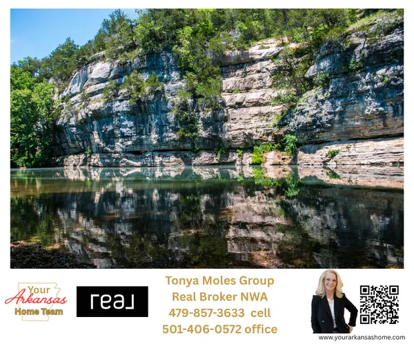 How Your Surroundings Shape Your Life—And Why Arkansas Should Be on Your Relocation Radar,Tonya Moles