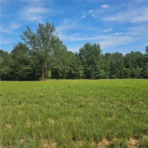 BARK Ln, Dardanelle, AR 72834