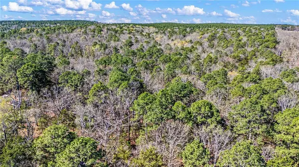 RIVERSIDE Rd, Delaware, AR 72835