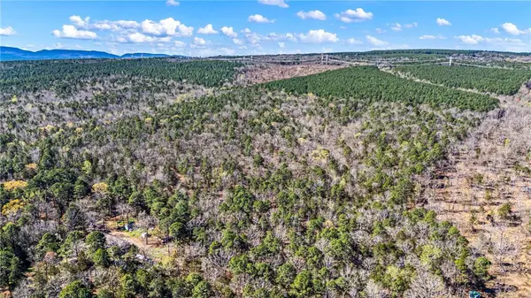 RIVERSIDE Rd, Delaware, AR 72835