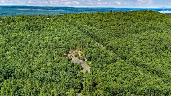 TBD Nichols Ln, Delaware, AR 72835