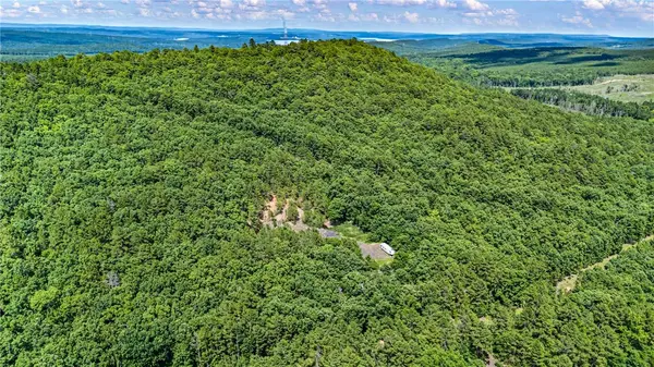 TBD Nichols Ln, Delaware, AR 72835