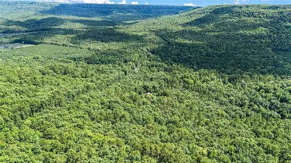 TBD Nichols Ln, Delaware, AR 72835