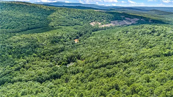 TBD Nichols Ln, Delaware, AR 72835