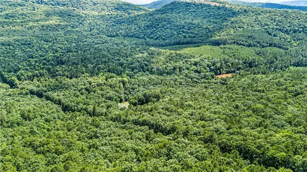TBD Nichols Ln, Delaware, AR 72835