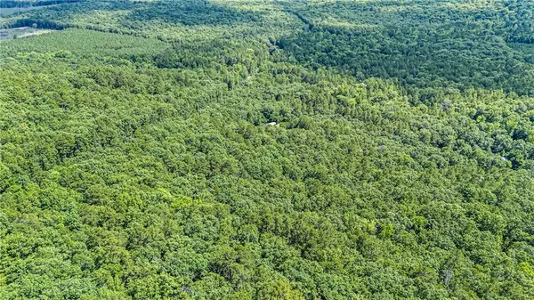 TBD Nichols Ln, Delaware, AR 72835