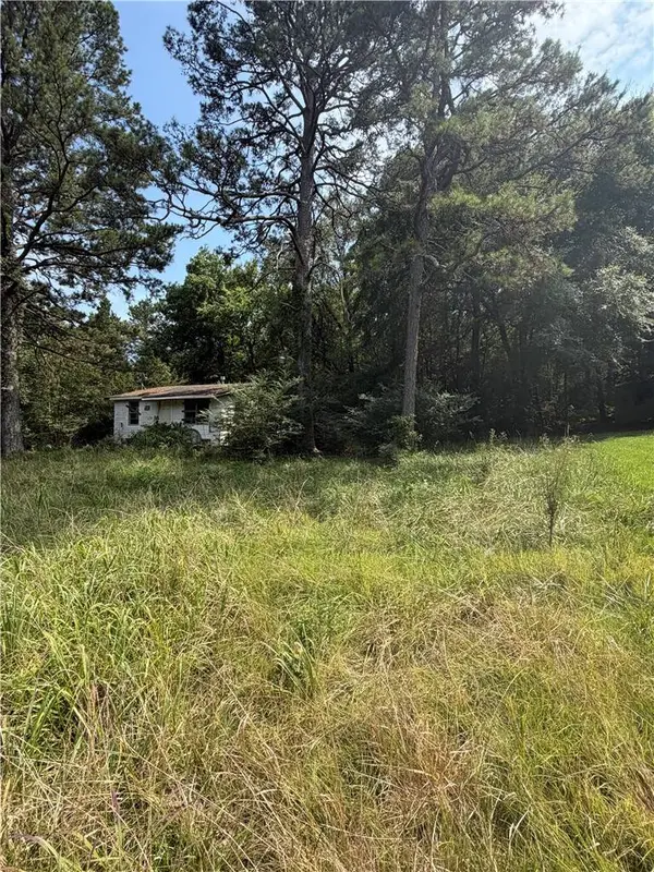 13149 W Highway 22, Dardanelle, AR 72834