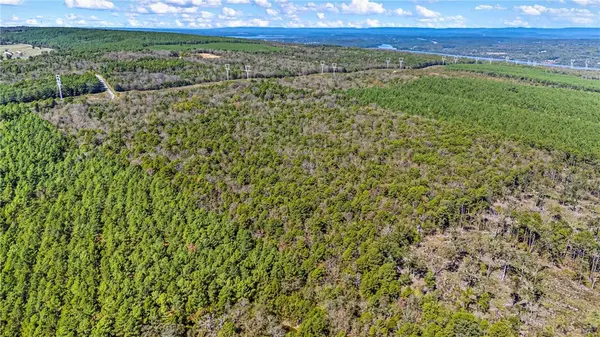 TBD RIVER MTN Rd, Delaware, AR 72835