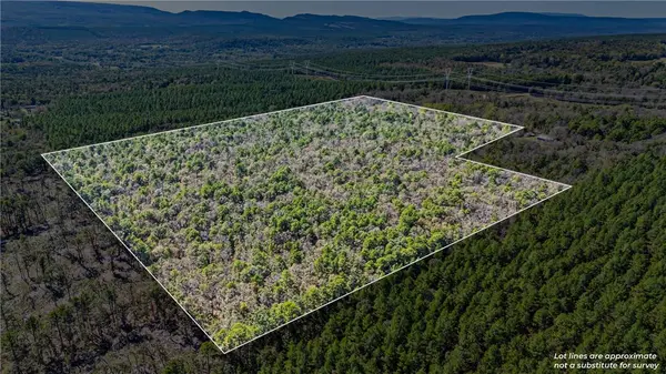 TBD RIVER MTN Rd, Delaware, AR 72835